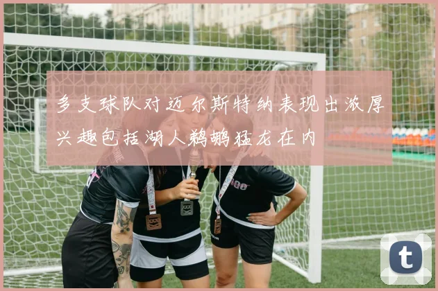 多支球队对迈尔斯特纳表现出浓厚兴趣包括湖人鹈鹕猛龙在内